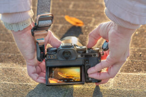 UNDISCOVERED BEAUTY Action 2