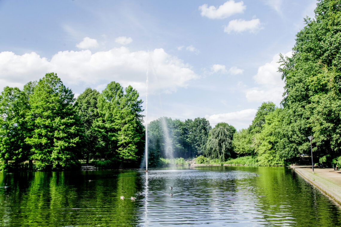 Stadtparkteich_MG_4226-2