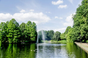 Stadtparkteich_MG_4226-2
