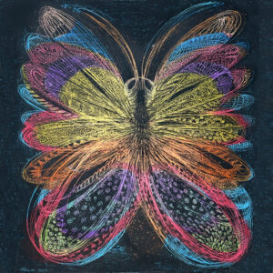 schmetterling_quadratisch2