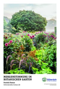 City Lights 2025_Daniela Toman